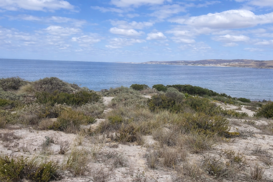 0 Bedroom Property for Sale in Shelley Point Western Cape